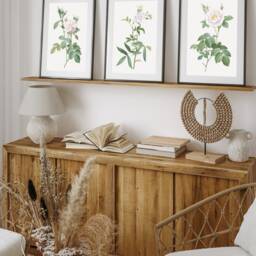 Neutral Wall Prints, Botanical Bedroom Line Art, Rose Art Home Decor, Hand Drawn Plants, Set Of 3 Prints - thumbnail 2
