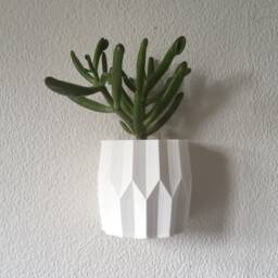 Wall Mounted Planter, Indoor Vertical Garden Pot - thumbnail 3