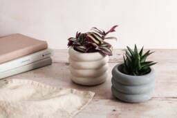 Handmade Round Concrete Plant Pot Modern Home Decor - thumbnail 1