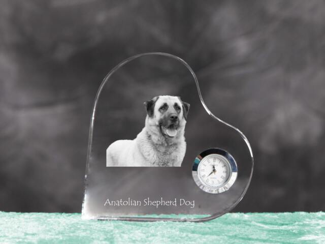 Anatolian Shepherd - Crystal Clock in The Shape Of A Heart With Image Pure-Bred Dog - image 1