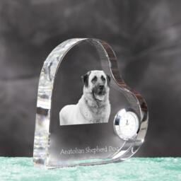 Anatolian Shepherd - Crystal Clock in The Shape Of A Heart With Image Pure-Bred Dog - thumbnail 3