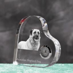 Anatolian Shepherd - Crystal Clock in The Shape Of A Heart With Image Pure-Bred Dog - thumbnail 2
