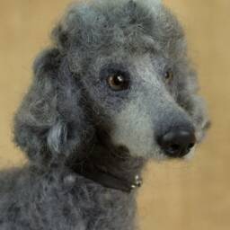 Made To Order Needle Felted Dog Custom Needle Felted Animal Sculpture - thumbnail 4
