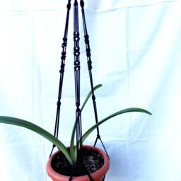 Black Macrame Plant Holder 32 Inches 3mm - Hanger Hanging Planter Wall Hanging Plant Indoor Outdoor - thumbnail 2