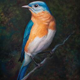Eastern Bluebird Fine Art Print. Oil Painting Bird Artwork. Original Wildlife Home Decor. Lover Wall Poster. Living Room - thumbnail 3