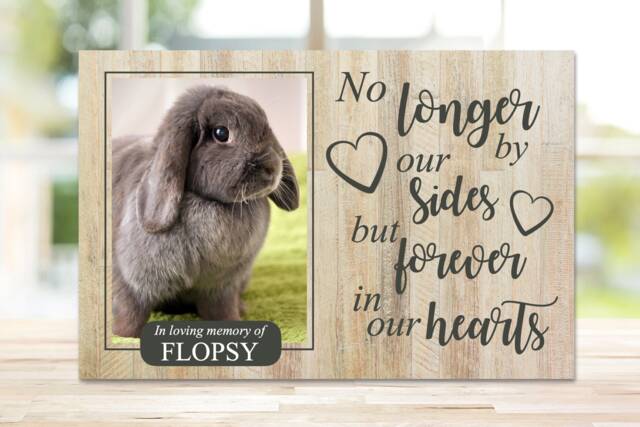 Rabbit Memorial, Pet Memorial Frame, Gift, Plaque, Photo Remembrance Keepsake - image 1