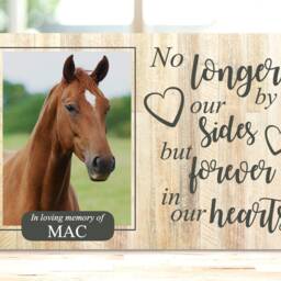 Rabbit Memorial, Pet Memorial Frame, Gift, Plaque, Photo Remembrance Keepsake - thumbnail 4