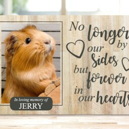 Rabbit Memorial, Pet Memorial Frame, Gift, Plaque, Photo Remembrance Keepsake - thumbnail 3