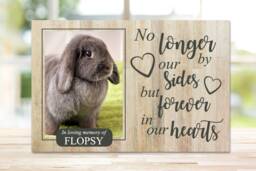 Rabbit Memorial, Pet Memorial Frame, Gift, Plaque, Photo Remembrance Keepsake