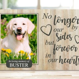 Rabbit Memorial, Pet Memorial Frame, Gift, Plaque, Photo Remembrance Keepsake - thumbnail 2