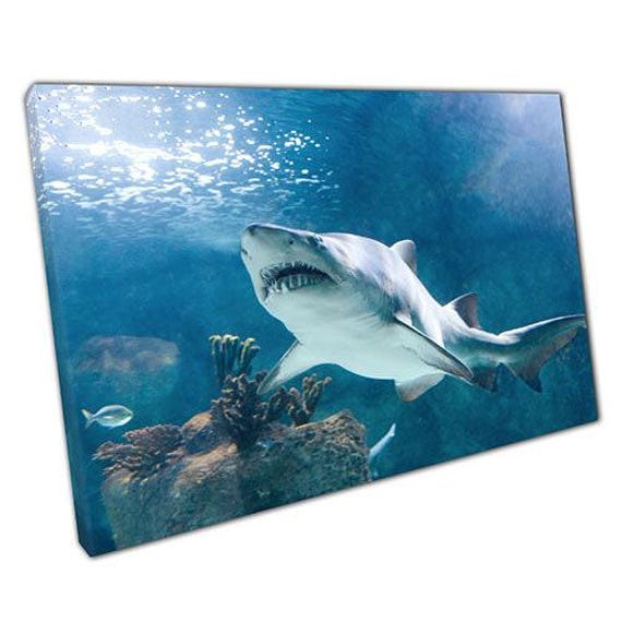 Shark Canvas Wall Art Ready To Hang Ocean Predator Print For Home Office Living Room Decor - image 1