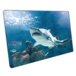 Shark Canvas Wall Art Ready To Hang Ocean Predator Print For Home Office Living Room Decor - thumbnail 1