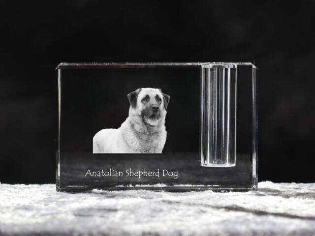Anatolian Shepherd , Crystal Pen Holder With Dog, Souvenir, Decoration, Limited Edition, Collection - image 1
