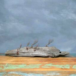 Windswept Ireland, Windswept, Trees, Irish, Landscape - thumbnail 2