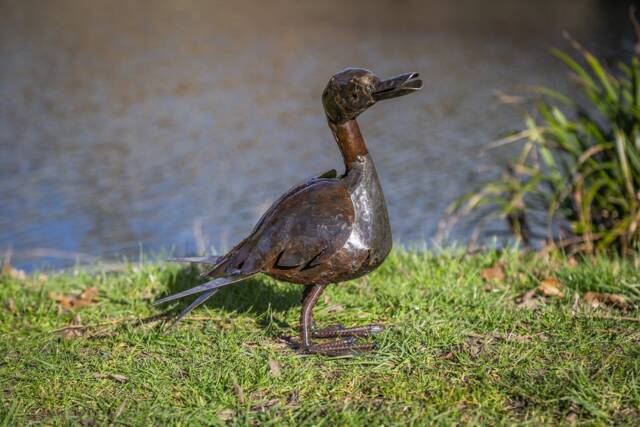 Handcrafted Recycled Metal Medium Duck. Outdoor Garden Sculpture. Ducks. Handmade Handcrafted Duck Statues - image 1