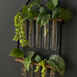 Propagation Station, Plant Stand, Gardener's Vase, Houseplant - thumbnail 3