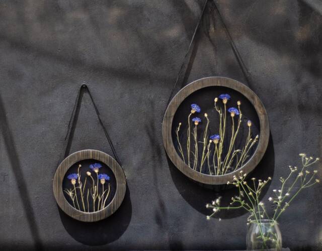 Round Wall Decor Set - Real Cornflowers Pressed Flower Frame Glass Pressed Wooden Art Herbarium - image 1
