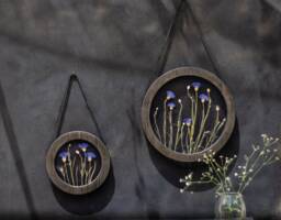 Round Wall Decor Set - Real Cornflowers Pressed Flower Frame Glass Pressed Wooden Art Herbarium - thumbnail 1