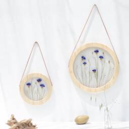 Round Wall Decor Set - Real Cornflowers Pressed Flower Frame Glass Pressed Wooden Art Herbarium - thumbnail 2