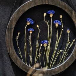 Round Wall Decor Set - Real Cornflowers Pressed Flower Frame Glass Pressed Wooden Art Herbarium - thumbnail 3