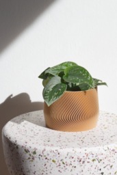 Large Planter Mayla Gro??er Blumentopf Indoor Pflanztopf ??bertopf Plant Pot Printed in Wood - thumbnail 1