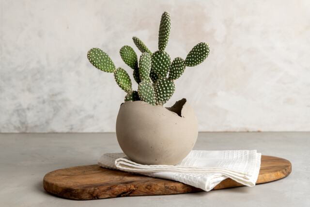 Large Concrete Gray Ceramic Planter, Succulent Egg-Shape Indoor Planter Pot, Unique Home Gift, Modern Decorative Round - image 1