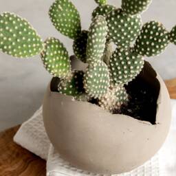 Large Concrete Gray Ceramic Planter, Succulent Egg-Shape Indoor Planter Pot, Unique Home Gift, Modern Decorative Round - thumbnail 3