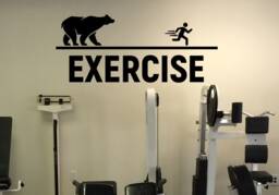 Exercise Vinyl Decal Sticker Motivation Quote Workout Fitness Sport Home Interior Wall Art 5(Nwg