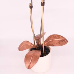 Orchid #4 Copper Metal Flower - thumbnail 4