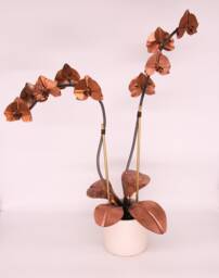 Orchid #4 Copper Metal Flower