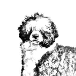 Portuguese Water Dog - Wooden Stand For Candles/Pens With The Image Of A Dog New Collection - thumbnail 2