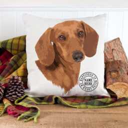 Personalised Tan Dachshund Cushion Cover Dog Throw Pillow Custom Dogs Bed Decor New Puppy Pooch Sausage Birthday Gift Ekdc16 - thumbnail 3