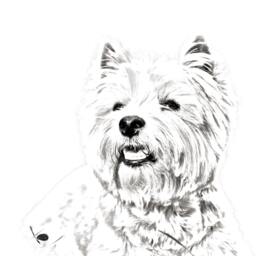 West Highland White Terrier - Wooden Stand For Candles/Pens With The Image Of A Dog New Collection - thumbnail 2
