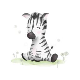Zebra Nursery Art - Baby Shower -Zebra Decor Prints Safari Print Sweet Cheeks Images - thumbnail 2