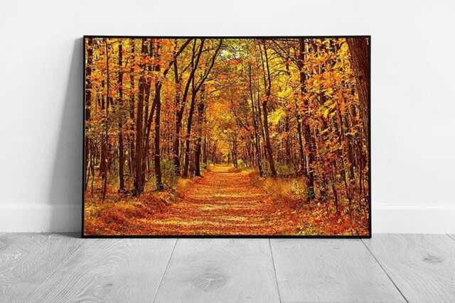 Vivid Autumnal Maple Tree Woodland Orange Golden Leaf Covered Wall Art Print On Paper Framed Picture Print - image 1