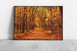 Vivid Autumnal Maple Tree Woodland Orange Golden Leaf Covered Wall Art Print On Paper Framed Picture Print - thumbnail 1