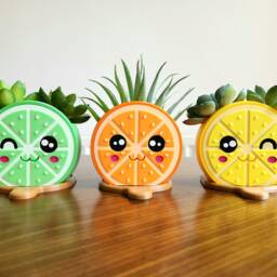 Citrus Trio - Set Of 3 Fruit-Shaped Flower Pots - Lime, Orange, Lemon - thumbnail 2