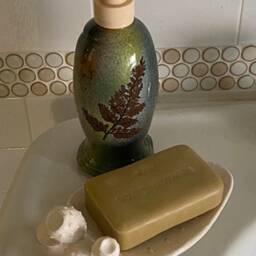 Soap Dispenser Lotion Pump With Ferns - thumbnail 4