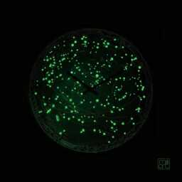 Glow in The Dark Star Clock Celestial Constellations, Galaxy Wall Art - thumbnail 2