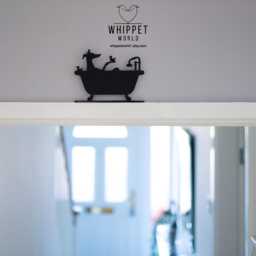 Whippet Greyhound Bath Silhouette Matte Black Acrylic Dog Lover Decor - thumbnail 3