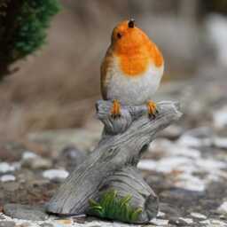 Sitting Robin Resin Statue Home Garden British Bird Sculpture Outdoor Ornament Robins Appear Gift - thumbnail 2