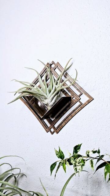Geometric Wood Air Plant Holder - Wall Mounted Decor, Living Art Planter - image 1