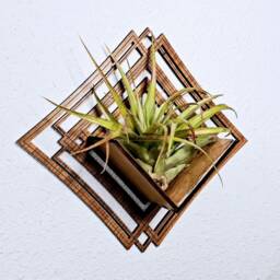 Geometric Wood Air Plant Holder - Wall Mounted Decor, Living Art Planter - thumbnail 3