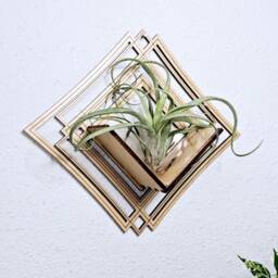 Geometric Wood Air Plant Holder - Wall Mounted Decor, Living Art Planter - thumbnail 2