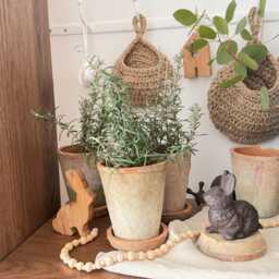 Small Pots Grow Your Own Herbs Kit - Set Of 3 Or 5 Terracotta Pots With Saucers & Seeds/ Indoor Kitchen Herb Garden/ Diy Garden Gift - thumbnail 2