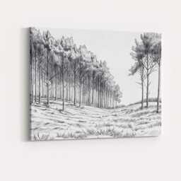 Monochrome Woodland Pencil Sketch Forest Landscape Canvas Wall Art Print Decor Picture Ready To Hang - thumbnail 4