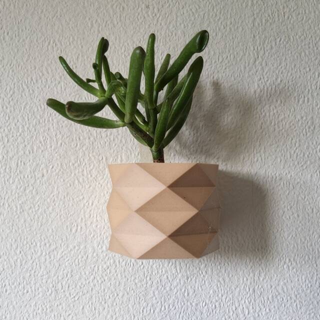 The Carmen Wall Planter, Wooden Mounted Pots For Modern Interiors - image 1