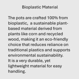 The Carmen Wall Planter, Wooden Mounted Pots For Modern Interiors - thumbnail 2