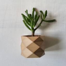 The Carmen Wall Planter, Wooden Mounted Pots For Modern Interiors - thumbnail 3