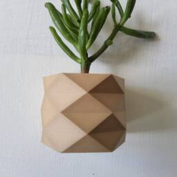 The Carmen Wall Planter, Wooden Mounted Pots For Modern Interiors - thumbnail 4